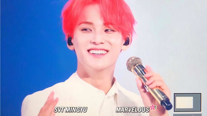 Diện mạo của Kim Min-gyu – gương mặt đại diện chính thức của SEVENTEEN – qua từng giai đoạn từ 16 đế