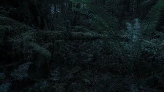 4K UHD   - Sheikh Maher Al Muaiqly - Dua Al Sabah-