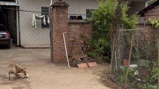 لم أستمتع بما يكفي حتى أمسكتني أمها وعادت بي إلى المنزل.