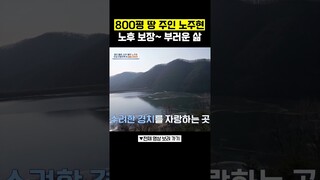 노주현의 800평 땅😮 부러운 인생 #4인용식탁