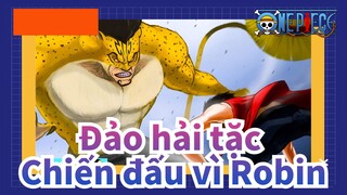 [Đảo hải tặc/AMV] Hộp số thứ 2 Luffy vs. Rob Lucci---Chiến đấu vì Robin