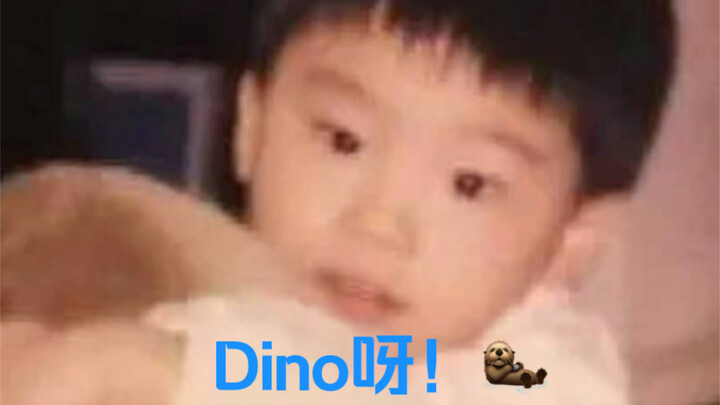 【Li Chan Dino】Akan menjadi bayi berang-berang yang selalu bahagia