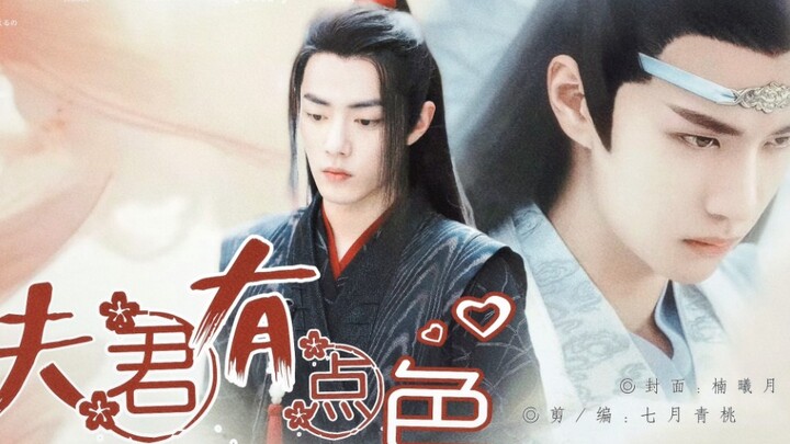 「羡忘」01  夫君有点涩  （这待在他身边也挺考验我的）  Se批督卫羡/奶萌王爷湛