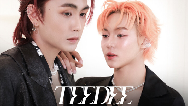 【สองภาษาจีน-ไทย】ฉบับพิเศษเต้นคู่ Diamond X Lego – TEEDEE TADA