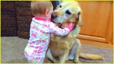 Cute Babies Playing With Pets  - Funny Baby and Pet