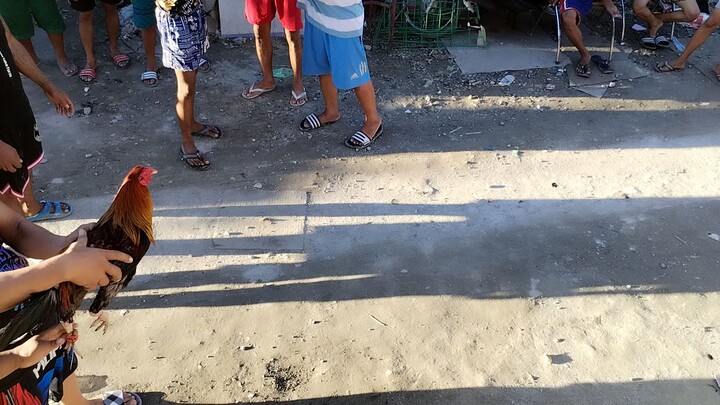 Mabilis ang tupada Lang mga boss