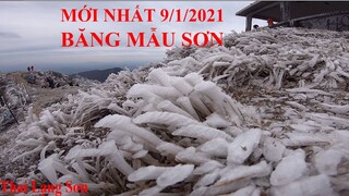 MỚI NHẤT BĂNG TUYẾT MẪU SƠN NGÀY 9/1/2021 TRỜI QUANG BĂNG PHỦ KÍN ĐỈNH NÚI I Thai Lạng Sơn