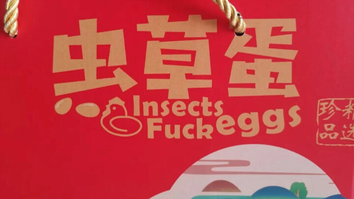 Appreciating Low-Quality Human Translations (23)