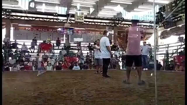 may16 2hits champ