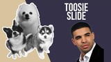 Toosie Slide but it's Doggos and Gabe