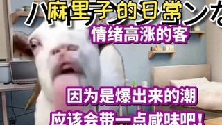 【محتوى مترجم】الزبون الذي يريد استخدام الإشادات الكثيرة لماريكو لصنع الرامن | ميم القط