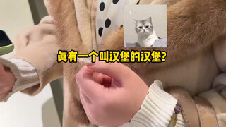 Pertanyaan: Burger apa? Teh susu apa?