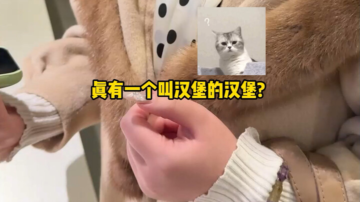 Question: What burger? What milk tea?