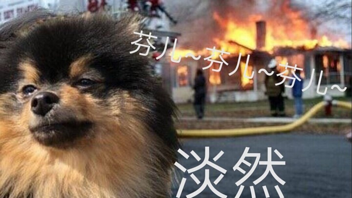 【บังทันโซนยอนดัน】ฉากแลกเปลี่ยนสุดเทพเมื่ออีกฝ่ายคิดจะแย่งชิงบัลลังก์ โชว์เดือดระดับไฮไลต์ (มีเอ็มวีพ