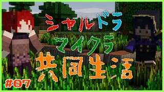 【#シャルドラ】マイクラ共同生活！#07【にじさんじ/ドーラ】