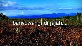 Banyuwangi di jajah