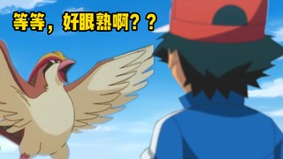 常磐森林里的那只比雕好厉害啊，等等，怎么那么眼熟？！！