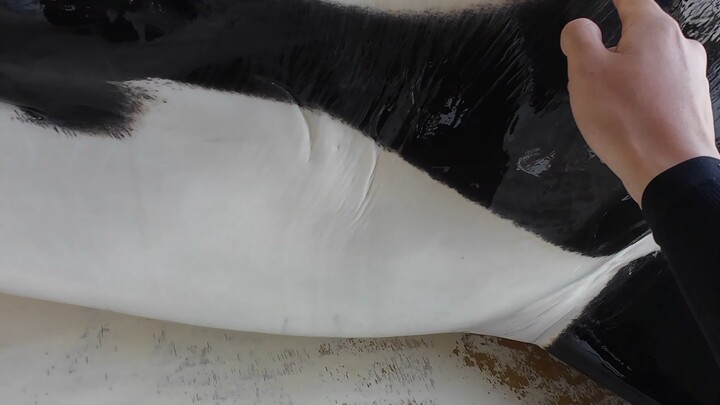 Orc Whale Fat Tiger’s Self-Introduction～