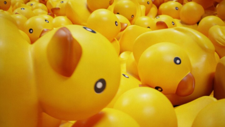 Animasi bebek bergegas |
