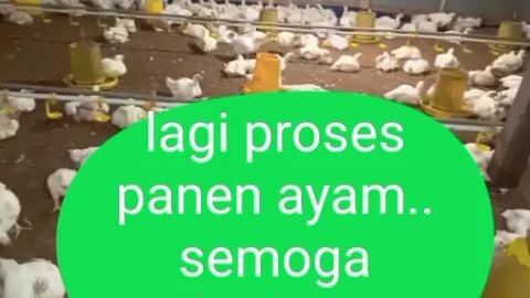 Alhamdulillah.. akhirnya!!