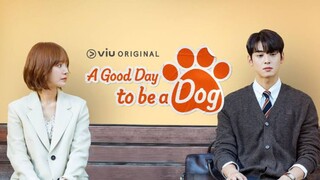 A G. day to be a Dog EP8 (EngSub)