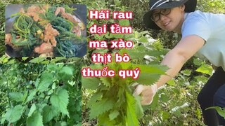 Hái rau dại tầm ma xào thịt bò/cuộc sống pháp/thôn quê nước pháp/thảo dược sức khỏe cây thuốc quý