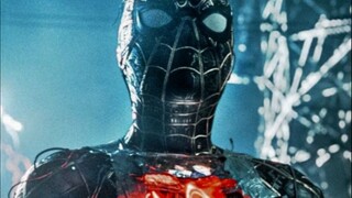 SPIDERMAN NO WAY HOME