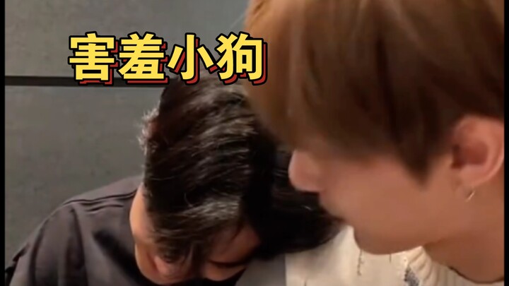 شعور الأخ الأكبر النادر لدى جون! الكلب خجل عندما تم مدحه، وأخذ يتدلل على القط!