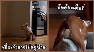 รวมคลิปตลกๆ : เมื่อเจ้านายไม่อยู่…จะขรี้ตรงไหนก็ได้!!