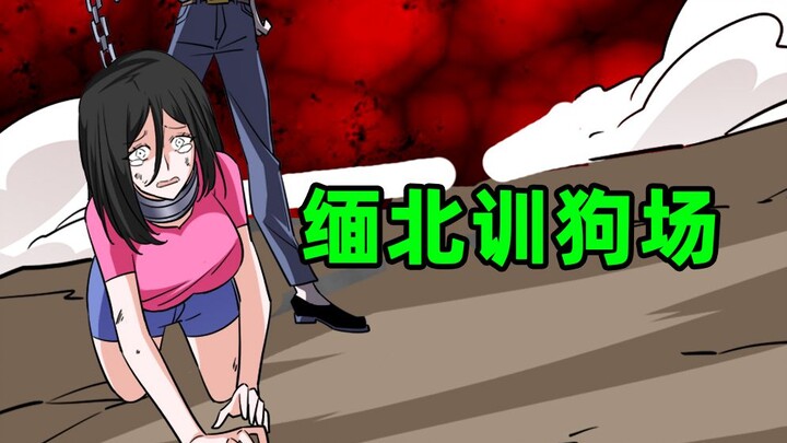 Stay away from Northern Myanmar