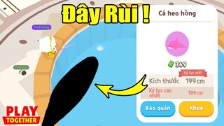 Hành Trình Săn Cá Heo Hồng Mini, TVT May Mắn Hốt Luôn Siêu Phẩm Phút Cuối | Play Together