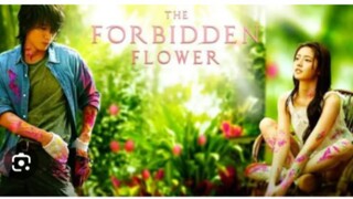 THE FORBIDDEN FLOWER Episode 11 Tagalog Dubbed