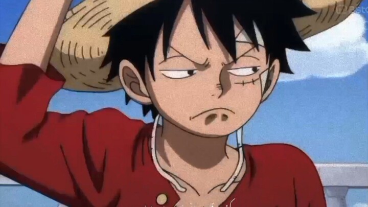 Kocak!! momen saat luffy di nasehatin zoroo