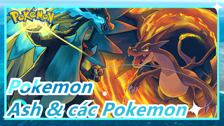 Pokemon|Liên kết Ash & các Pokemon