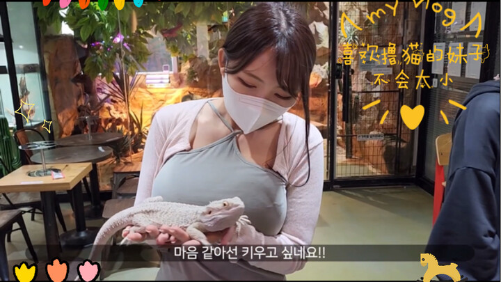 【Velvet Tube】Con gái thích vuốt ve mèo thường không quá trẻ