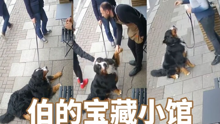 Uncle Tou is back again to devour the bread from his treasure shop!🤤