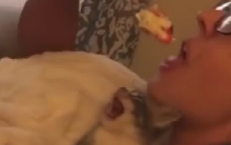 Cat: I’ve already made it obvious by opening my mouth this wide—do you really have the heart to eat 