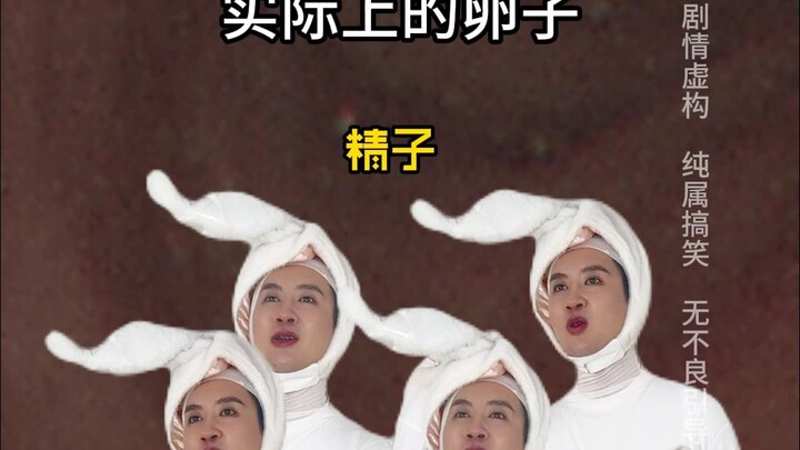 ไข่ในจินตนาการของคุณ vs ไข่ในความเป็นจริง