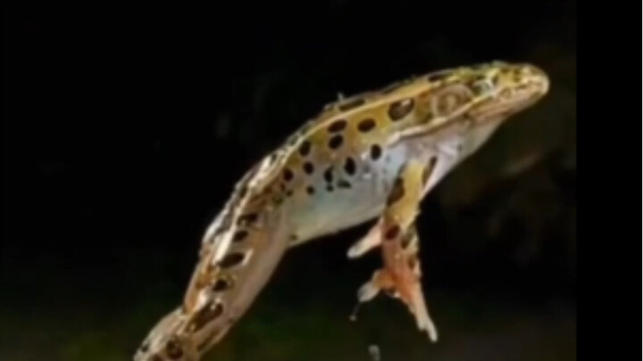 Do you know these little-known facts too?