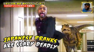 Craziest Japanese Pranks Compilation! LOL REACTION