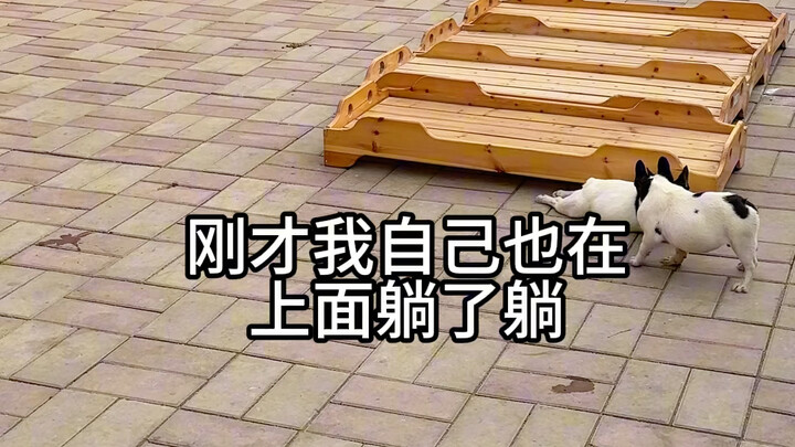Please help me forward this video to Zhang Xinyue