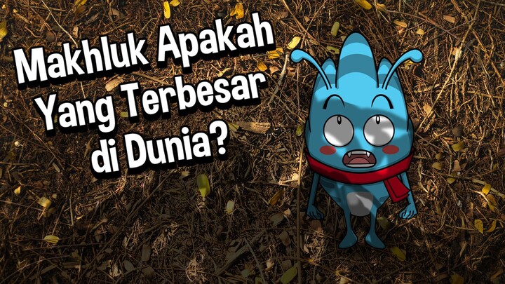 Inilah Makhluk Terbesar di Dunia! Kalian Gak Akan Nyangka! | Youtube : Kuttu Booku