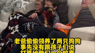 这是父亲给孩子们挑选的礼物，两只可爱狗狗