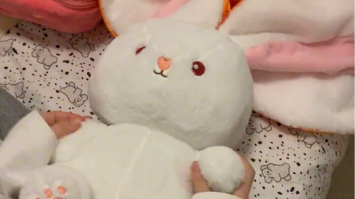 Ừm… tại sao trong củ cải lại không thể mọc ra thỏ nhỉ～