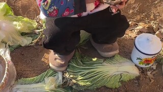 [Teman Kecil Yuchen] Video sedang dimuat, periksa kejutannya dengan cepat!