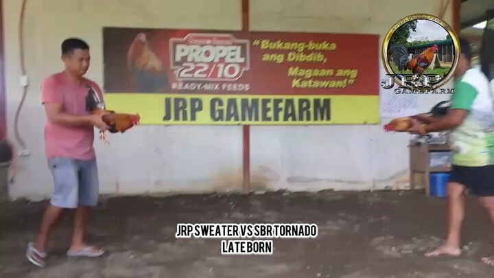 JRP Sweater(AEJ line x JM Fantastic ) VS SBR Tornado ( MT Banahaw line)