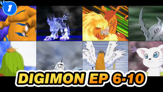 Digimon|[Memori Masa Kecil] Digimon Season I：Cerita Utama（EP 6-10)_1