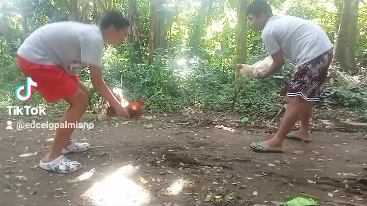 pwd na pang binta