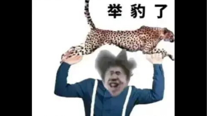 ليس لضعاف القلوب
