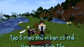 Top 5 mẹo sinh tồn Minecraff